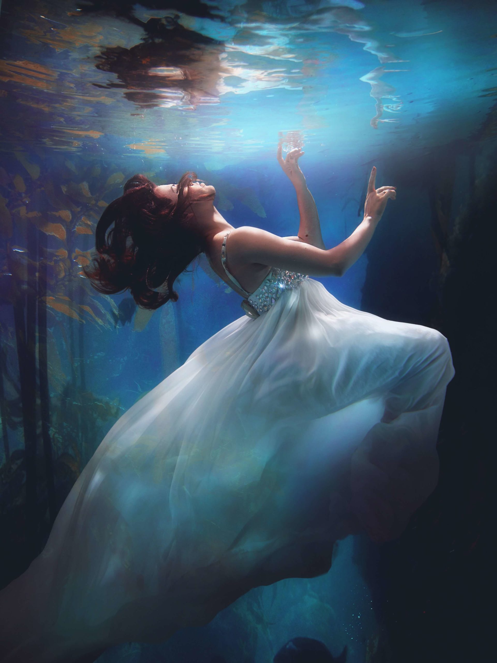 alice-alinari-apYiDRNa-pY-unsplash